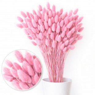 Înălţime: 55 cm Flori uscate lagurus roz
